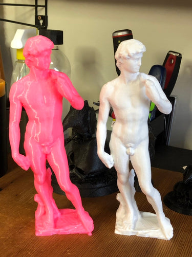 Michelangelo's Statue of David