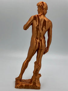 Michelangelo's Statue of David