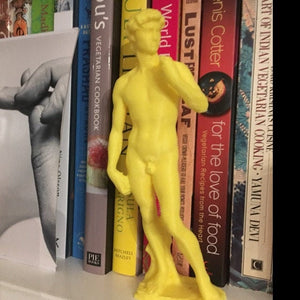 Michelangelo's Statue of David